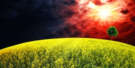 ???????????????????????????????????????????????????????????????????????????